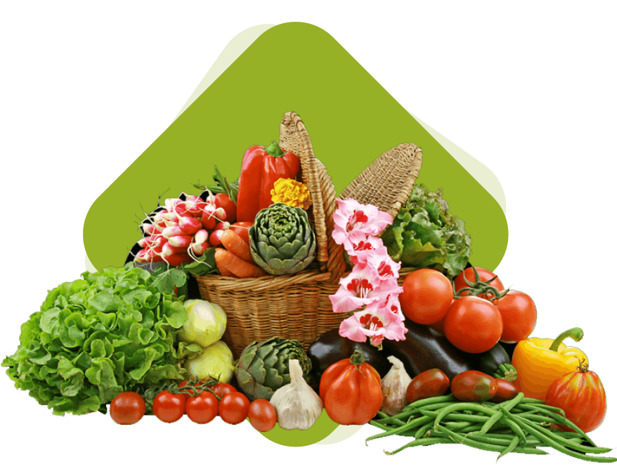 image pour illustrer les paniers de legumes et de fruits chez rps agriculture